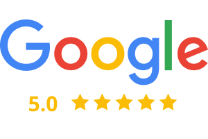 Google 5.0